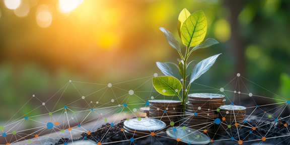 Banner - Comparing NGFS and Ortec Finance Climate Scenarios