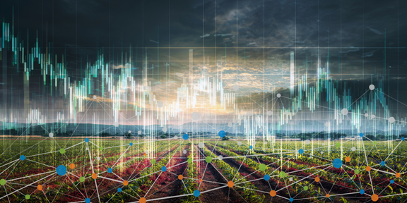 Banner Top-down or bottom-up How should institutional investors manage climate risk