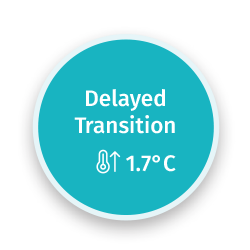 Climate Scenario Delayed Transition
