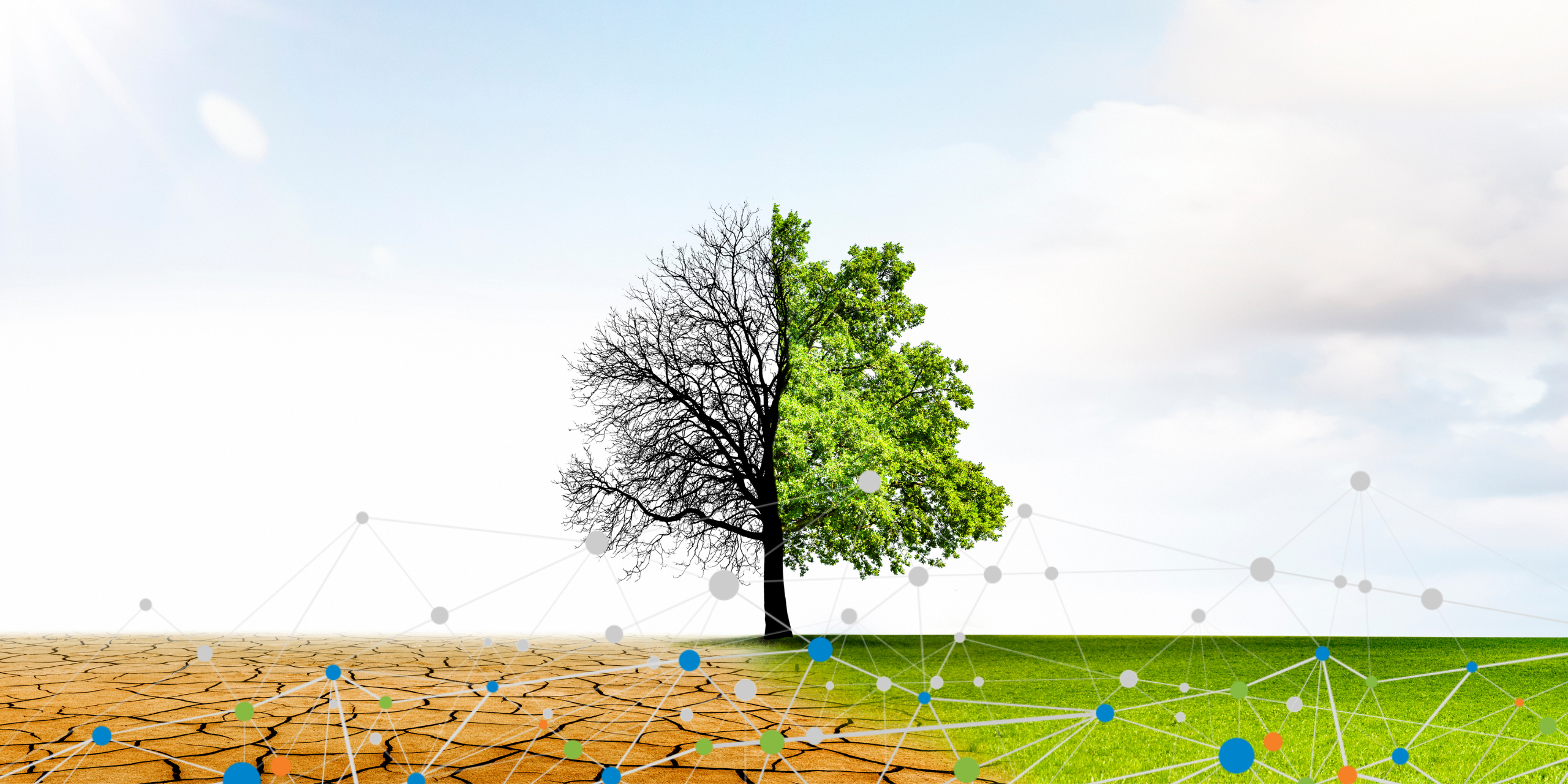 How to improve stress testing for climate change