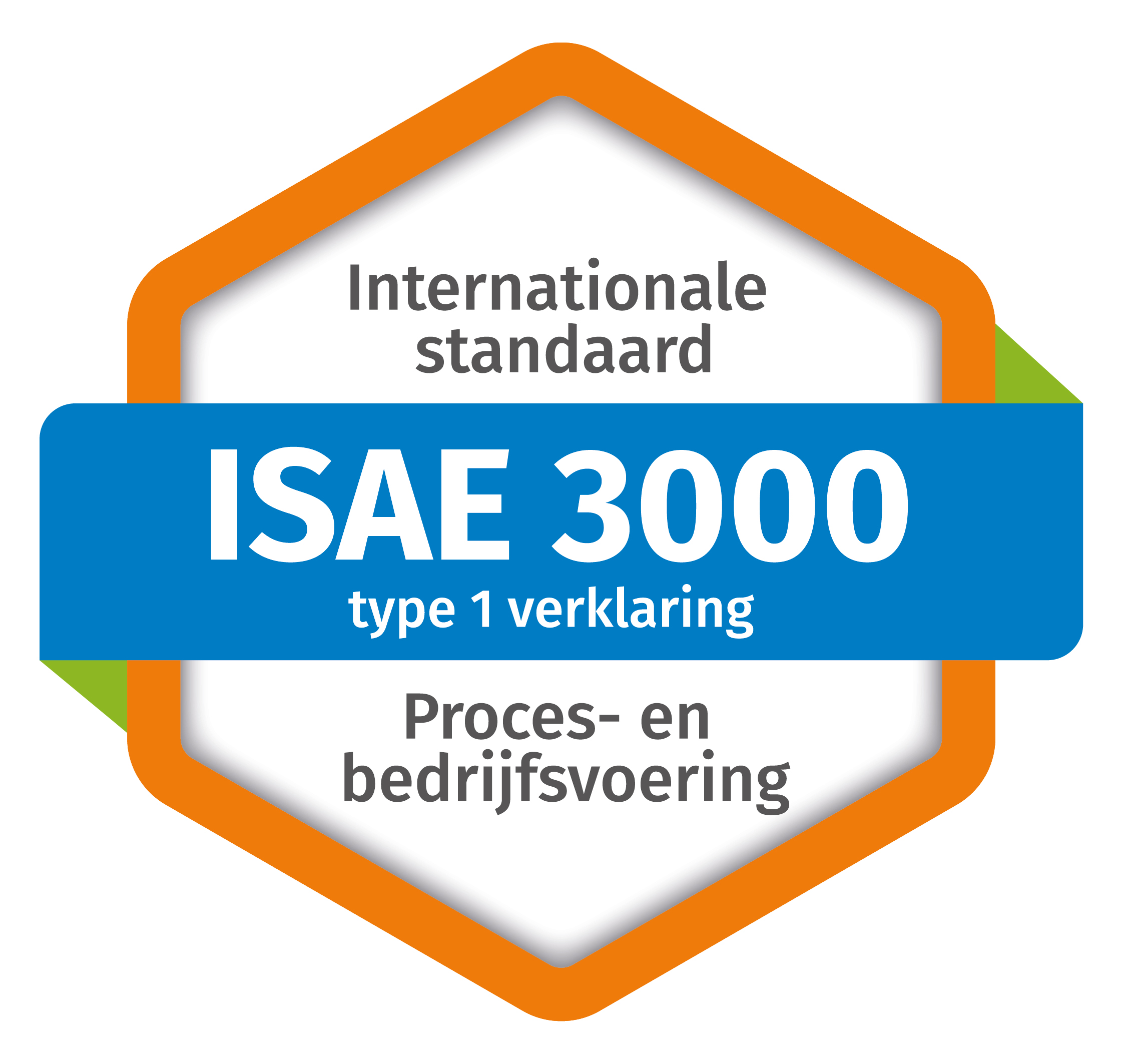 ISAE 3000